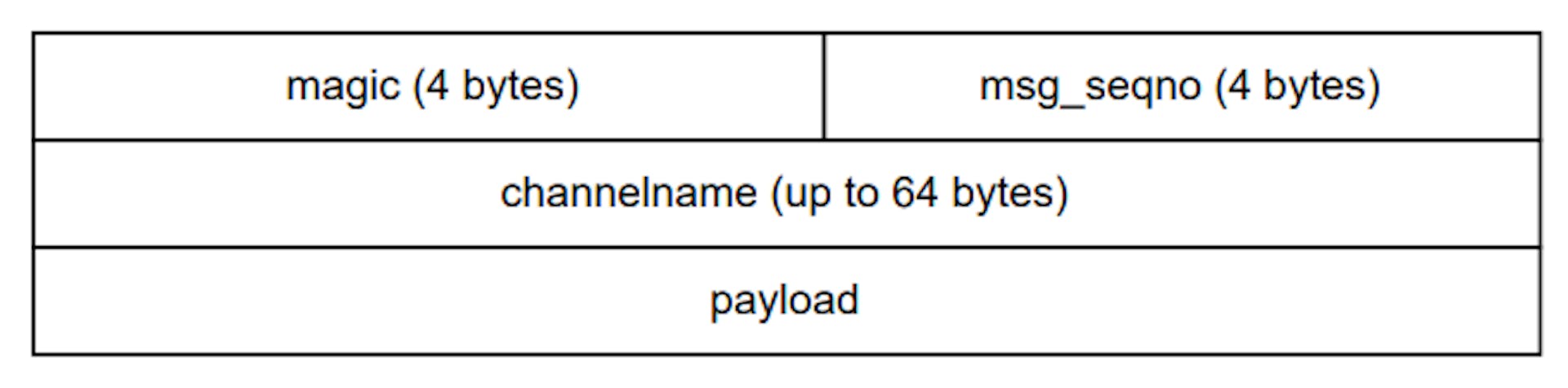Fig. 2. LCM packet format