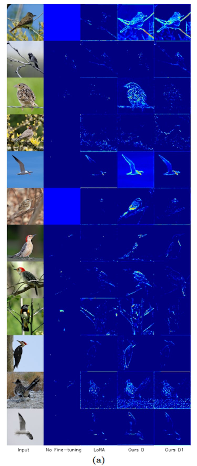 Fig. 27: Additional Grad-CAM heatmap comparisons between our method and LoRA from the first block of ResNet50