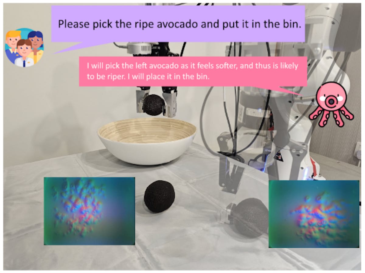 Fig. 1. Avocado ripeness selection by combining tactile information with commonsense knowledge. Using inputs from its tactile sensor, OCTOPI identifies the left avocado as softer. Using commonsense reasoning, OCTOPI infers that it is ripe and fulfils the user’s request.