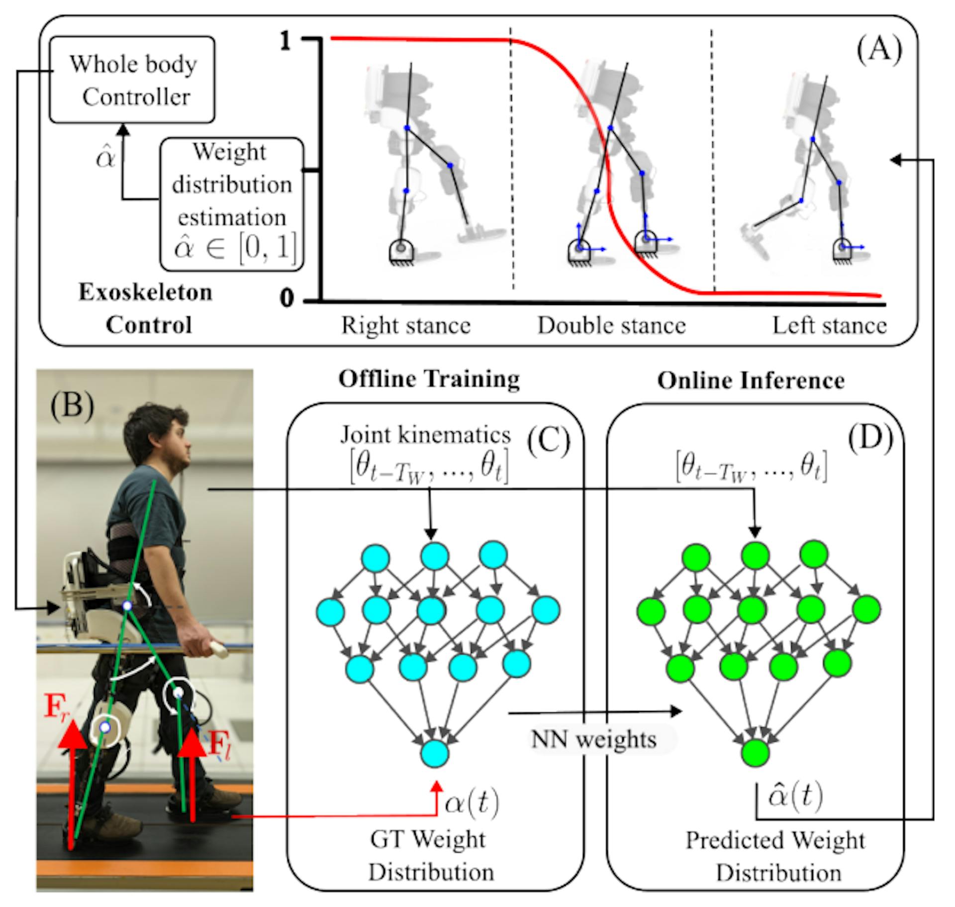 Fig. 1: Weight-distribution regression: a deep-learning approach is used to estimate the weight distribution (α) of a user-exoskeleton couple in real-time and to control the robot accordingly. Part (A) and (B) of the schema, Sec.II-A, provides an overview of the exoskeleton hardware and controller as well as the calculation of α using force sensors applied to the feet and used as ground truth value. Part (C), Sec. II-B, presents the structure of the deep-learning model and its offline training using a time-window (300ms) of kinematics information as input and ground truth values of α as output. Part (D), Sec II-C, displays how the trained model is used in the closed-loop control to predict the weight distribution (α) using kinematic information. The estimated values are passed in real-time (inference time < 1ms) to the exoskeleton controller.