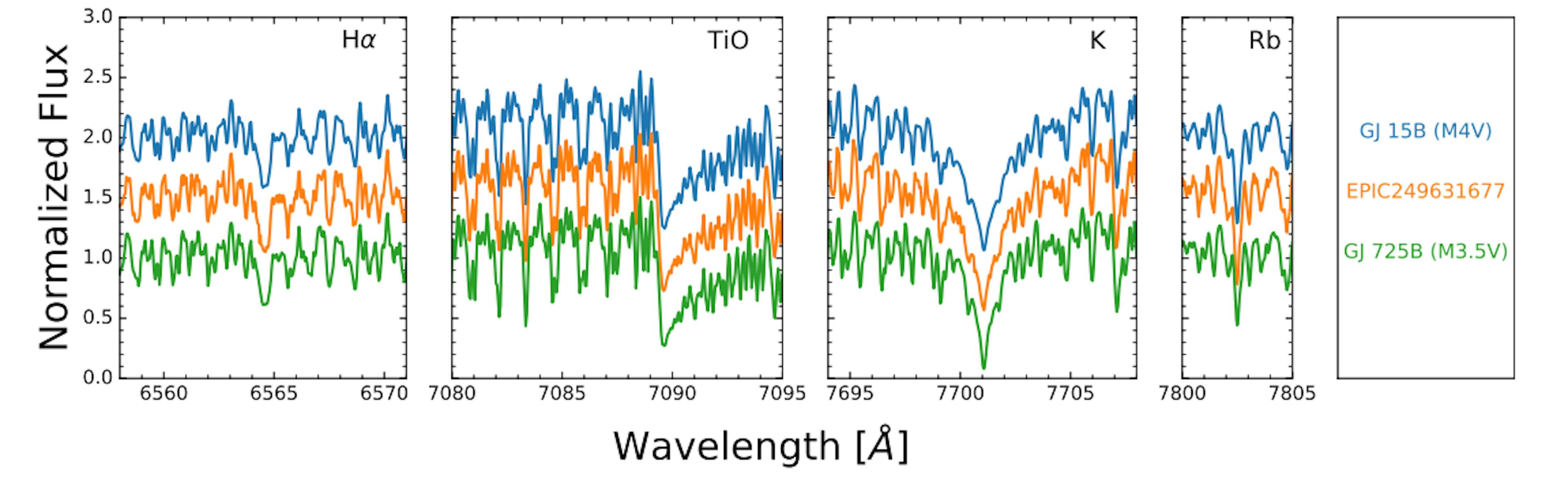 Figure 4. Comparison of Keck/HIRES spectra of EPIC 249631677 (orange) with GJ 725B (green) and GJ 15B (blue) in thevicinity of the expected locations of Hα, TiO bands, K I (7701.0˚A), and Rb I (7802.4˚A). No secondary spectral lines, emission lines, or rotational broadening are detected.