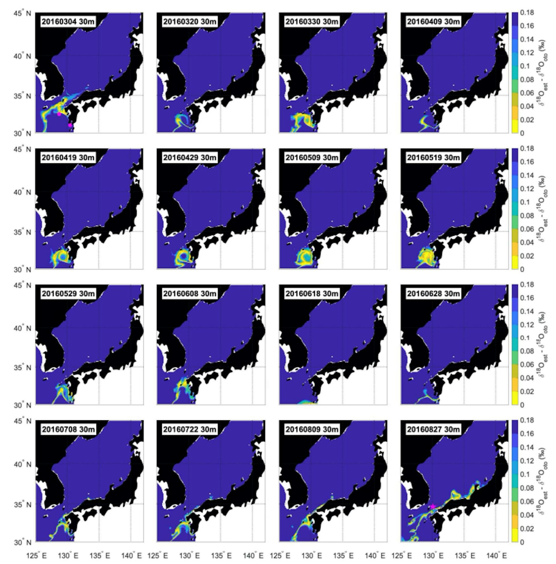 Figures S2. Example of estimated distribution areas of the individual collected in Tsushima Strait in 2016 (Tsushima Strait_2016_1), assuming the distribution depth of 30 m. The blue to yellow gradation indicates the estimated distribution areas. Spawning grounds are presented as pink circles. Sampling areais presented as pink star. The upper leftmost figure shows the estimated distribution area of the nearest hatching date and the lower rightmost figure shows the estimated distribution area of the nearest sampling date. 