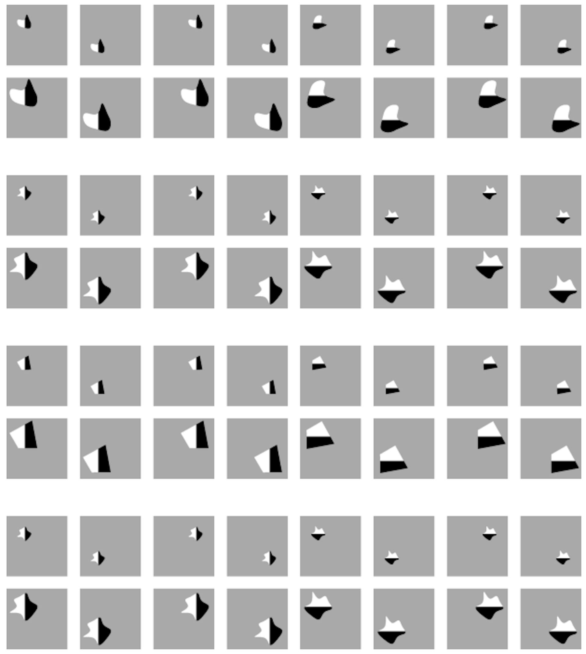 Figure 2. A batch of images from the Infinite dSprites dataset containing four distinct shapes. Each shape is shown in all combinations of four factors of variation (horizontal and vertical position, orientation, and scale) with two possible values per factor.