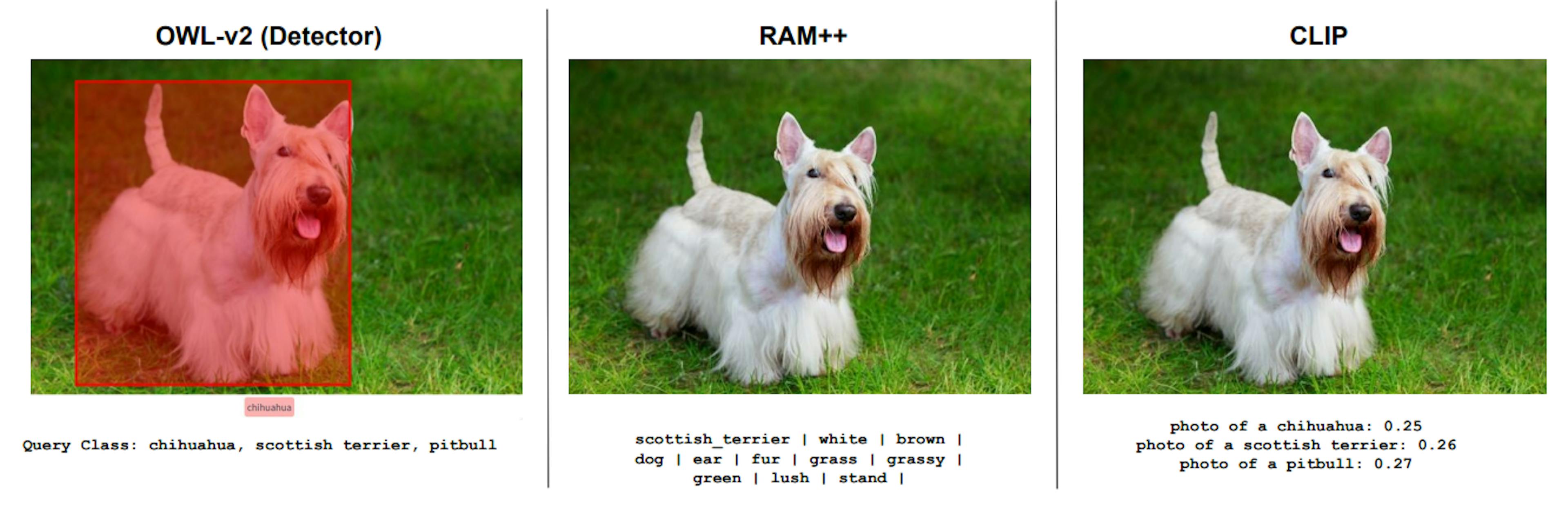 Figure 19: Qualitative Results comparing OWL-v2, RAM++ and CLIP. We show qualitative examples across three different models: OWL-v2, RAM++ and CLIP on fine-grained concepts.