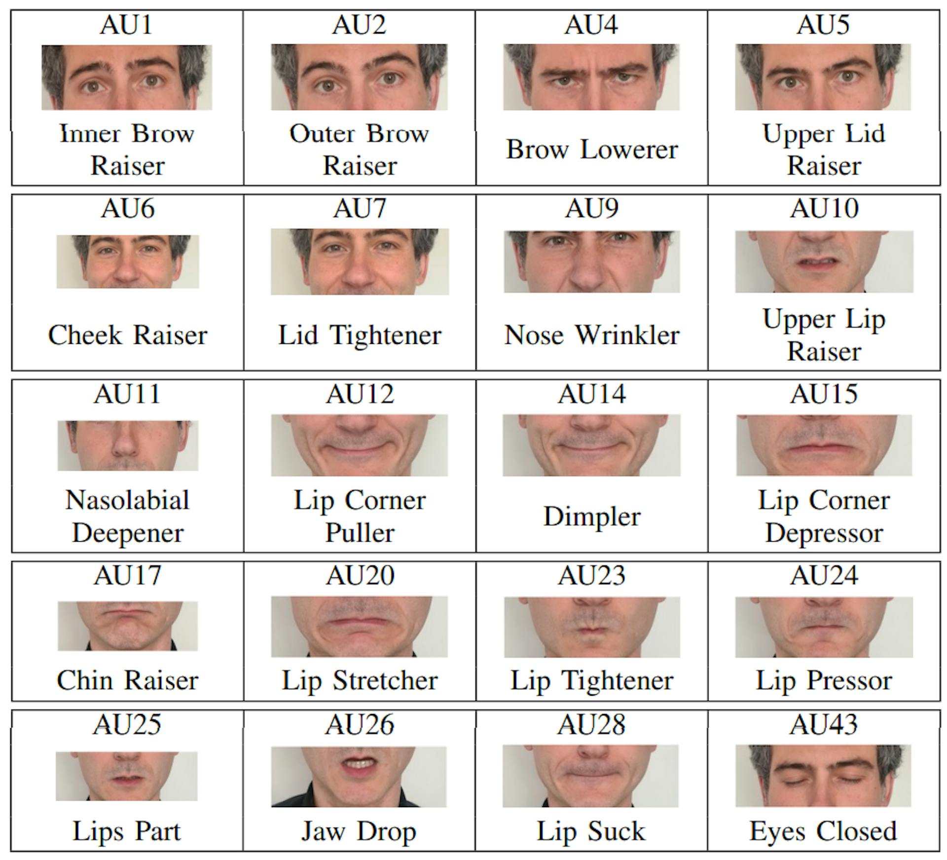 TABLE ITHE 20 AUS PREDICTED BY THE AU DETECTION MODEL.