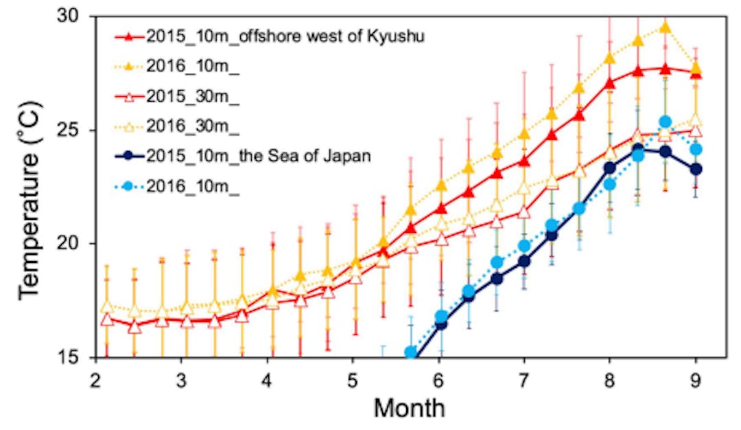 Fig. 8: Water temperature variations extracted from FRA-ROMS on the offshore west of Kyushu (127–130°E, 30–34°N; solid triangles indicate 10 m depth, open triangles indicate 30 m depth) and the northern offshore area of the Sea of Japan (130–140 °E, 36–40 °N; solid circles indicate 10 m depth). The error bar of each plot shows the standard deviation in the area. 