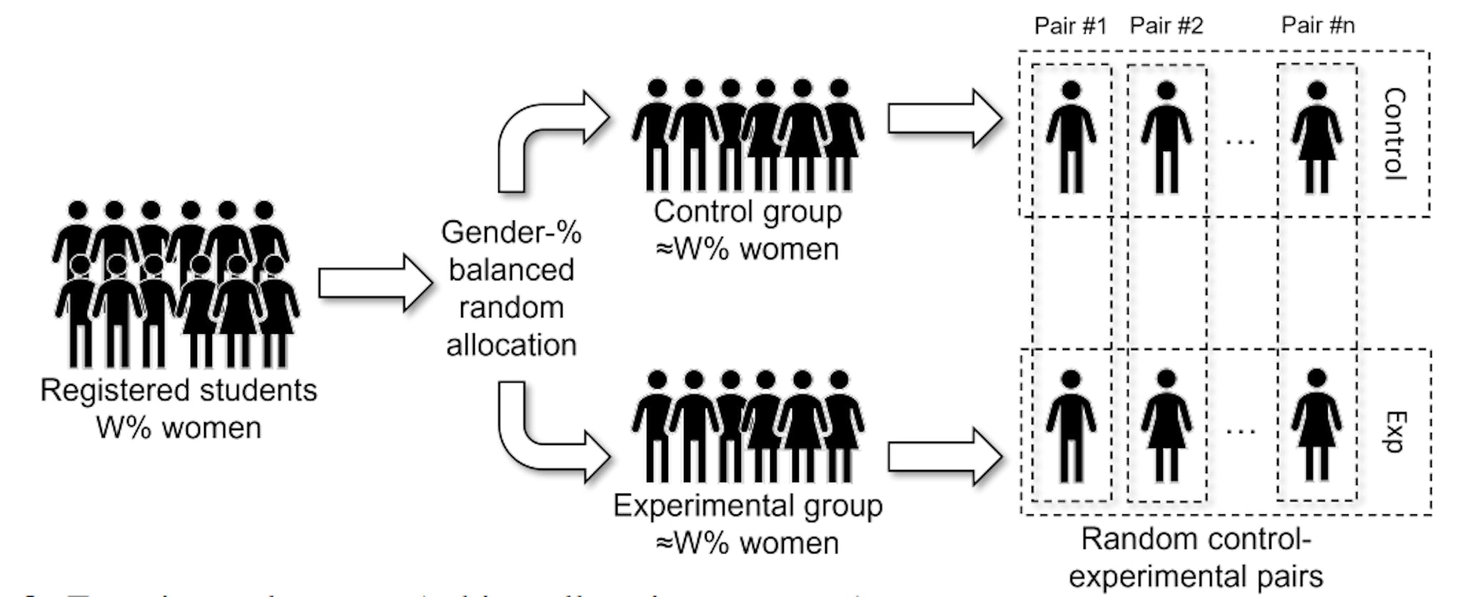 Figure 2 Experimental process (subject allocation to groups)