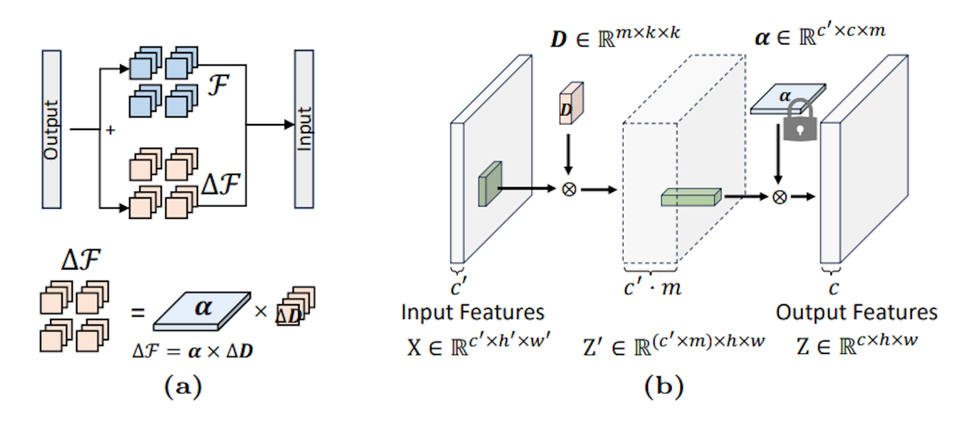 Fig. 2: A filter subspace view of model tuning. (a) Each convolutional layer F is constructed as linear combinations of filter subspace elements, i.e., filter atoms D, using decomposition coefficients, i.e., atom coefficients α. Hypothesizing variations across tasks can be reduced by bridging spatial discrepancies in the images, we propose to calibrate the pre-trained model by solely fine-tuning the spatial-only D while keeping the spatially-invariant channel weights α fixed. (b) The convolution operation is represented in two stages: At the spatial-only convolution stage, each filter atom D is adapting to the target task, and then at the cross-channel mixing stage, Z′ are combined into Z using fixed atom coefficients α, which is obtained from the pre-trained model. More details are provided in Section 3.