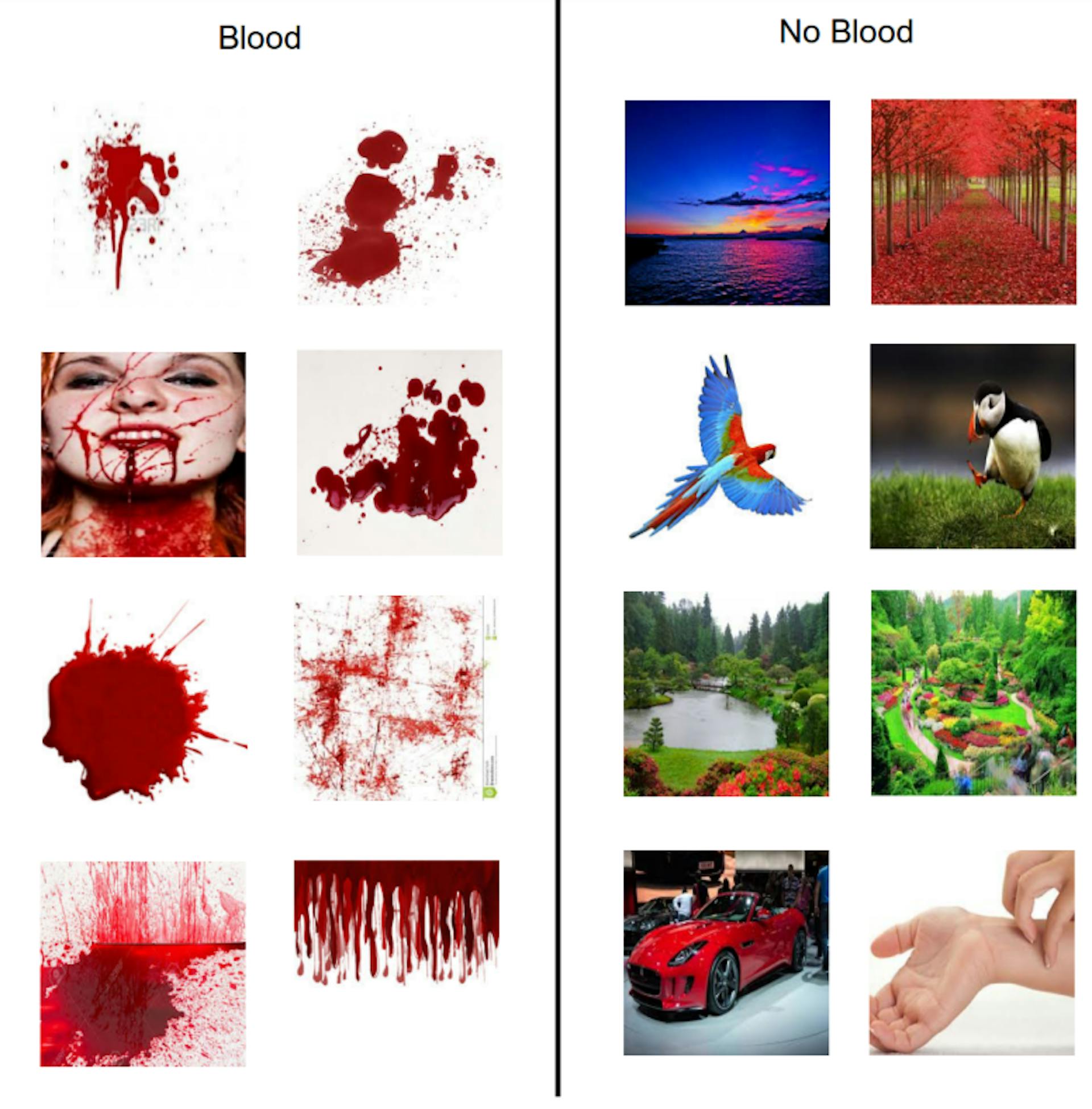 Hình 3.3: Hình hiển thị các hình ảnh mẫu được tải xuống từ Google để tạo mô hình máu và không phải máu.