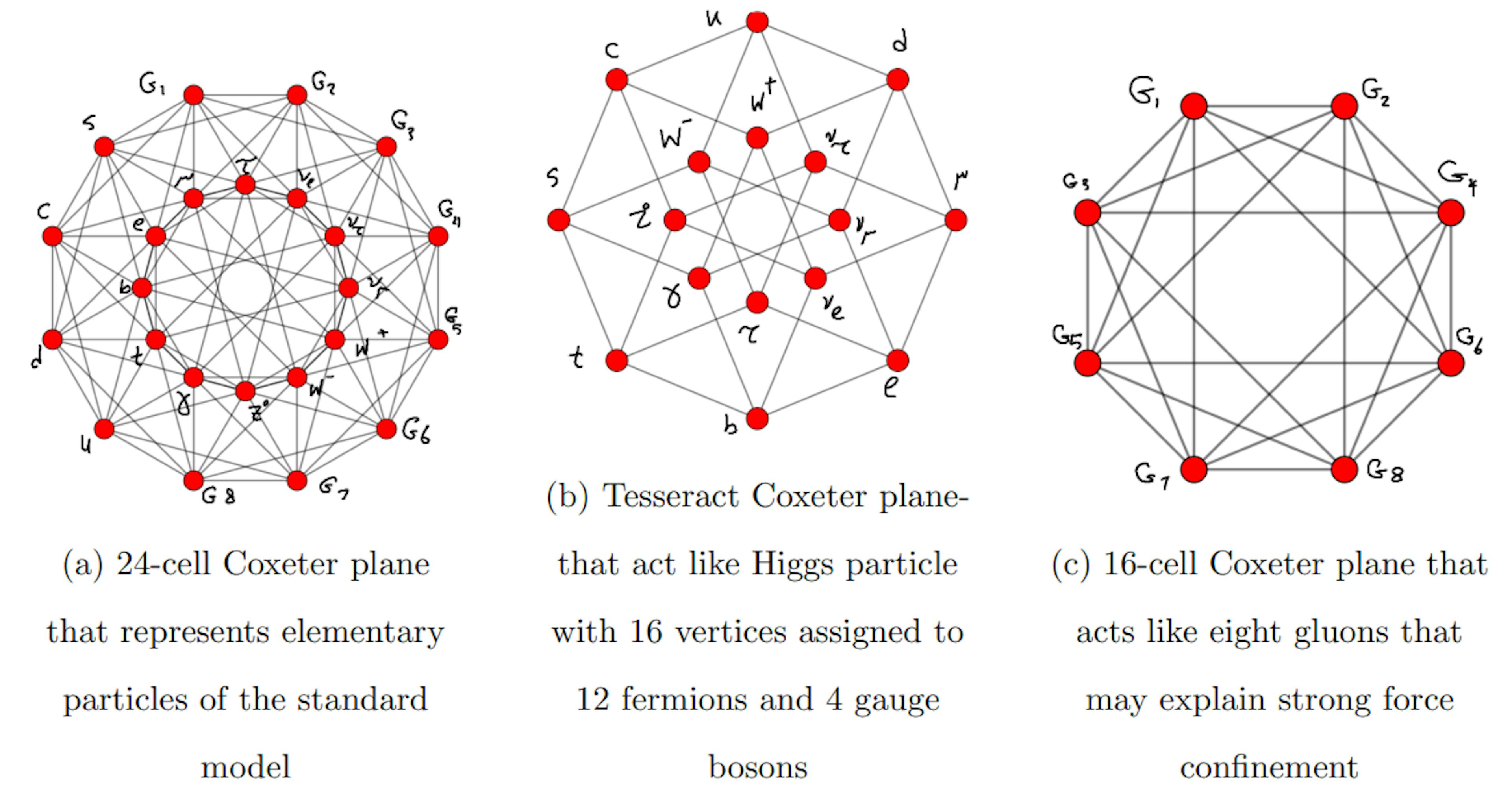FIG. 2: representation of fundamental particles on vertices of 24-cell, 16-cell and Tesseract