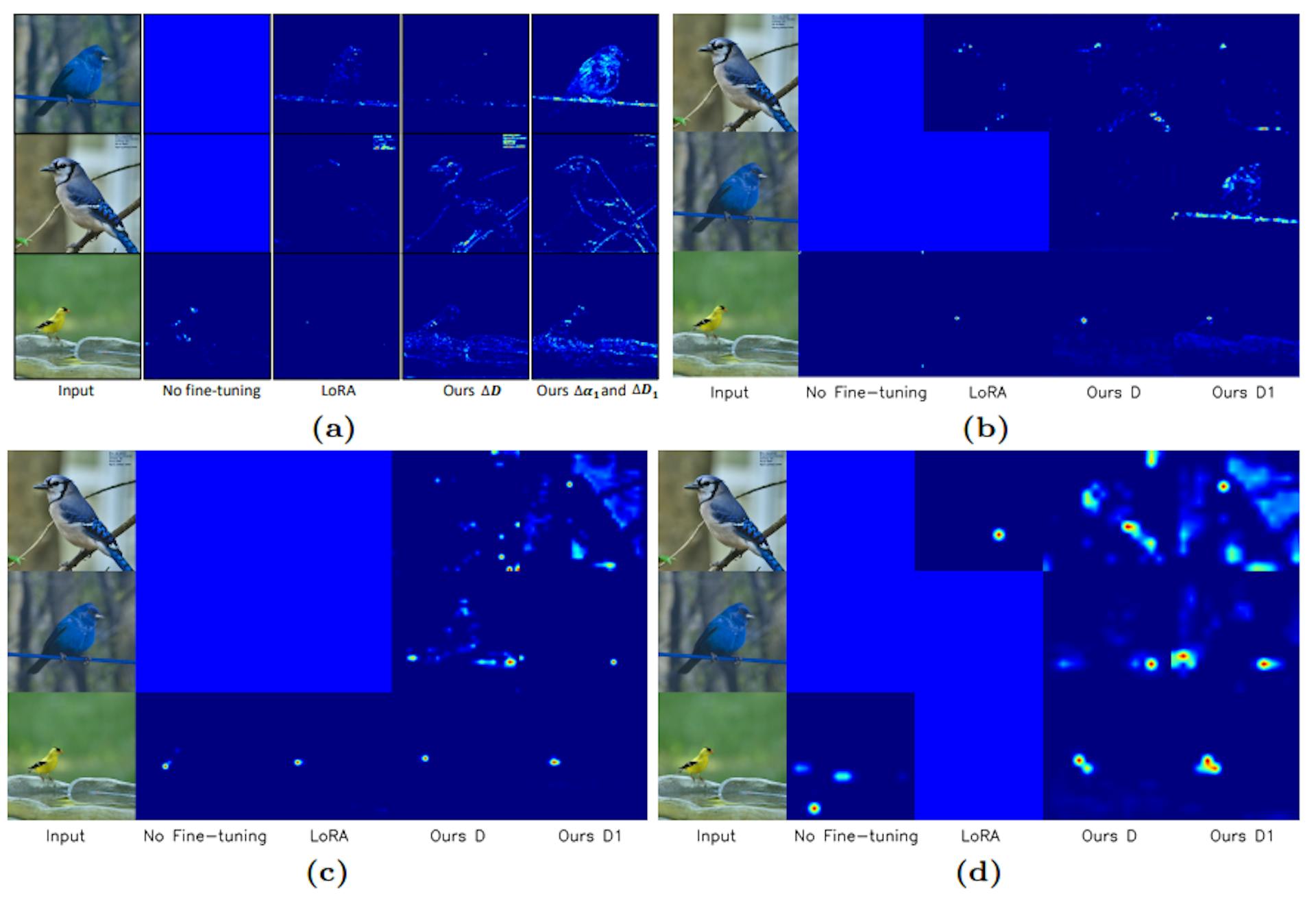 Fig. 26: The Grad-CAM heatmap comparisons between our method and LoRA reveal that our approach exhibits larger active regions. The heatmap is generated from the first block of ResNet50 [13] utilizing the CUB dataset [67]. Fine-tuning the model with ∆D1 involves additional filter atoms, which leads to larger active regions in the heatmap compared to fine-tuning ∆D only. (a) The Grad-CAM from the first block of ResNet50. (b-d) The Grad-CAM from the 2-4 blocks of ResNet50.