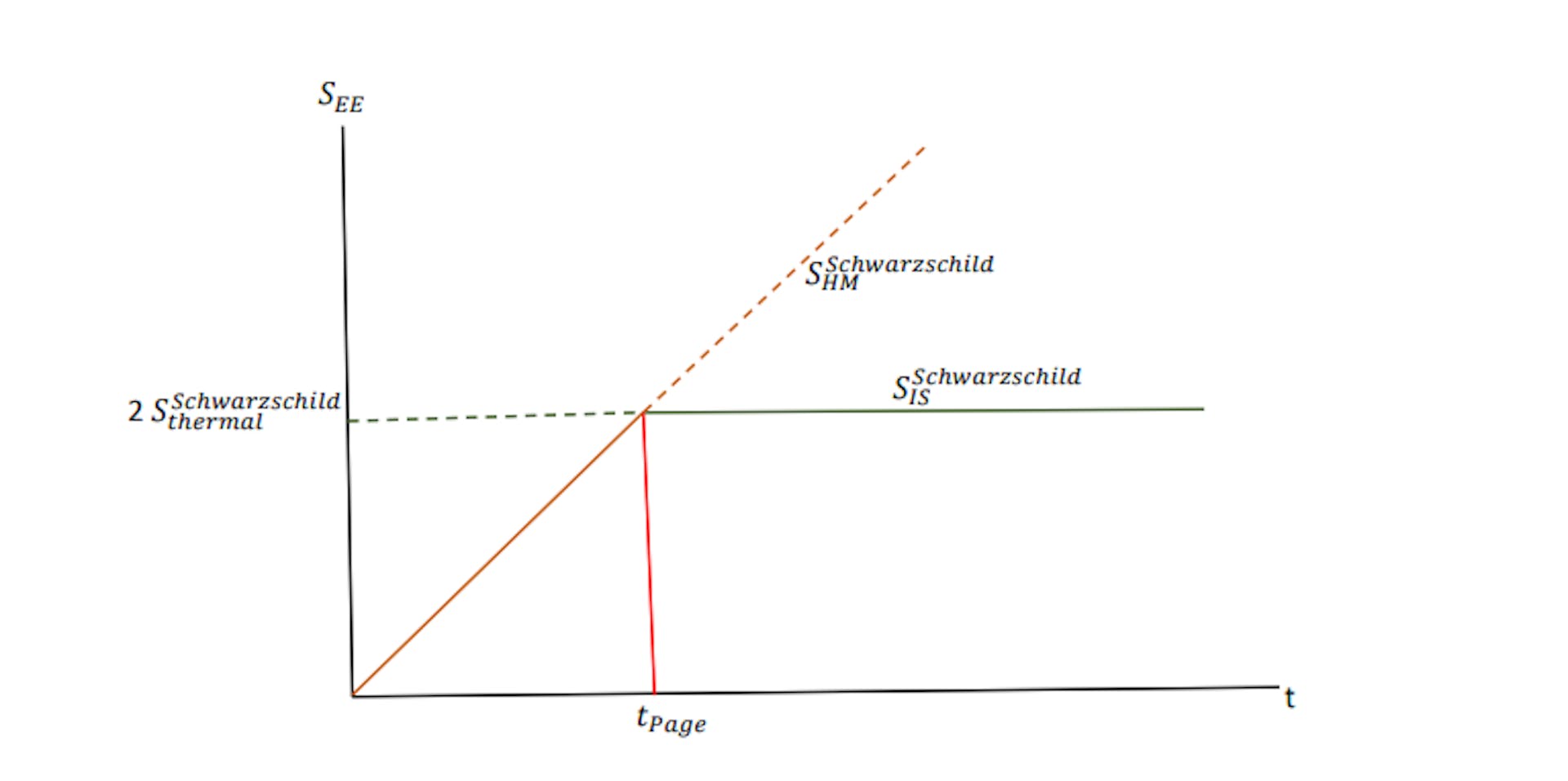 Figura 9: Curva de página do patch de Schwarzschild.