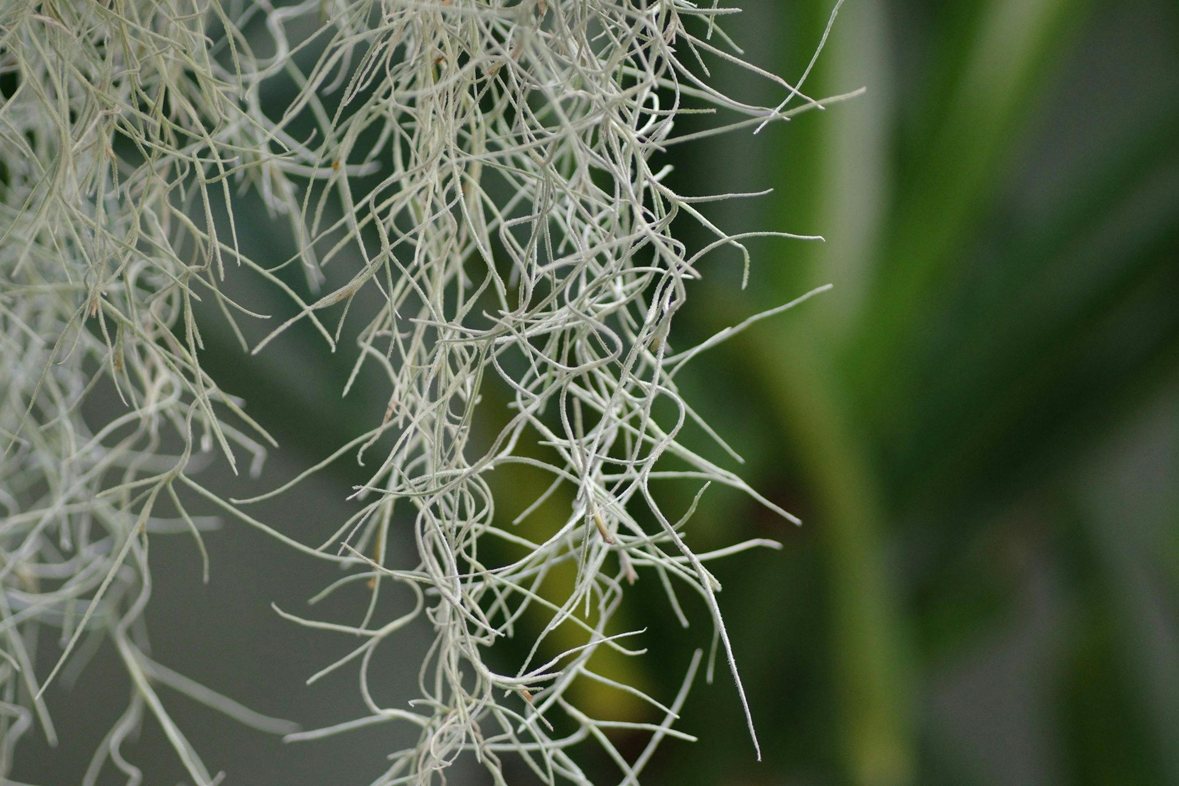 featured image - What Comes After the AI Bubble