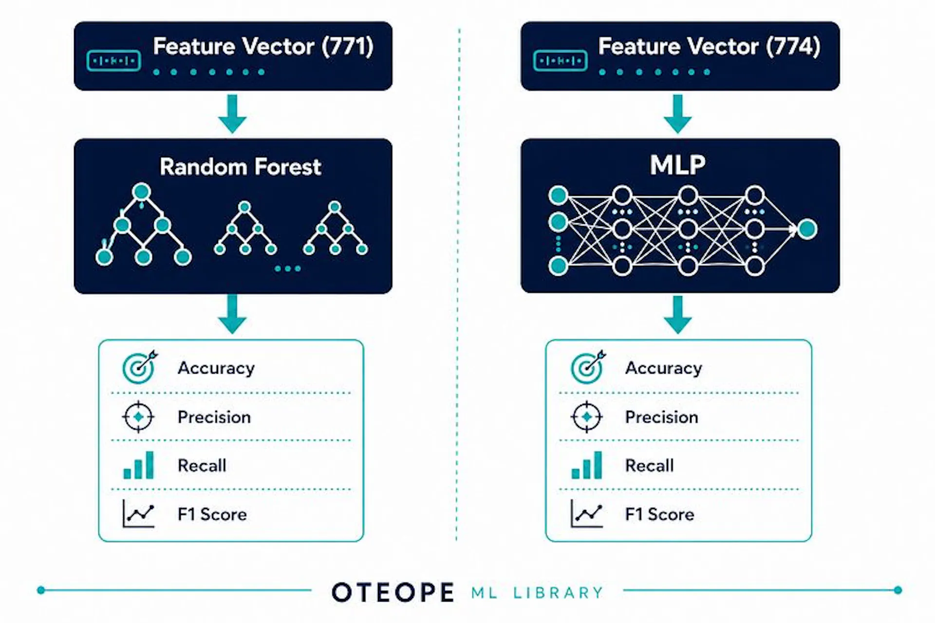 Figure 4. Comparison of the two predictive models evaluated in this study: a Random Forest classifier and a Multi-Layer Perceptron (MLP), both trained using the same feature representation and evaluation metrics.