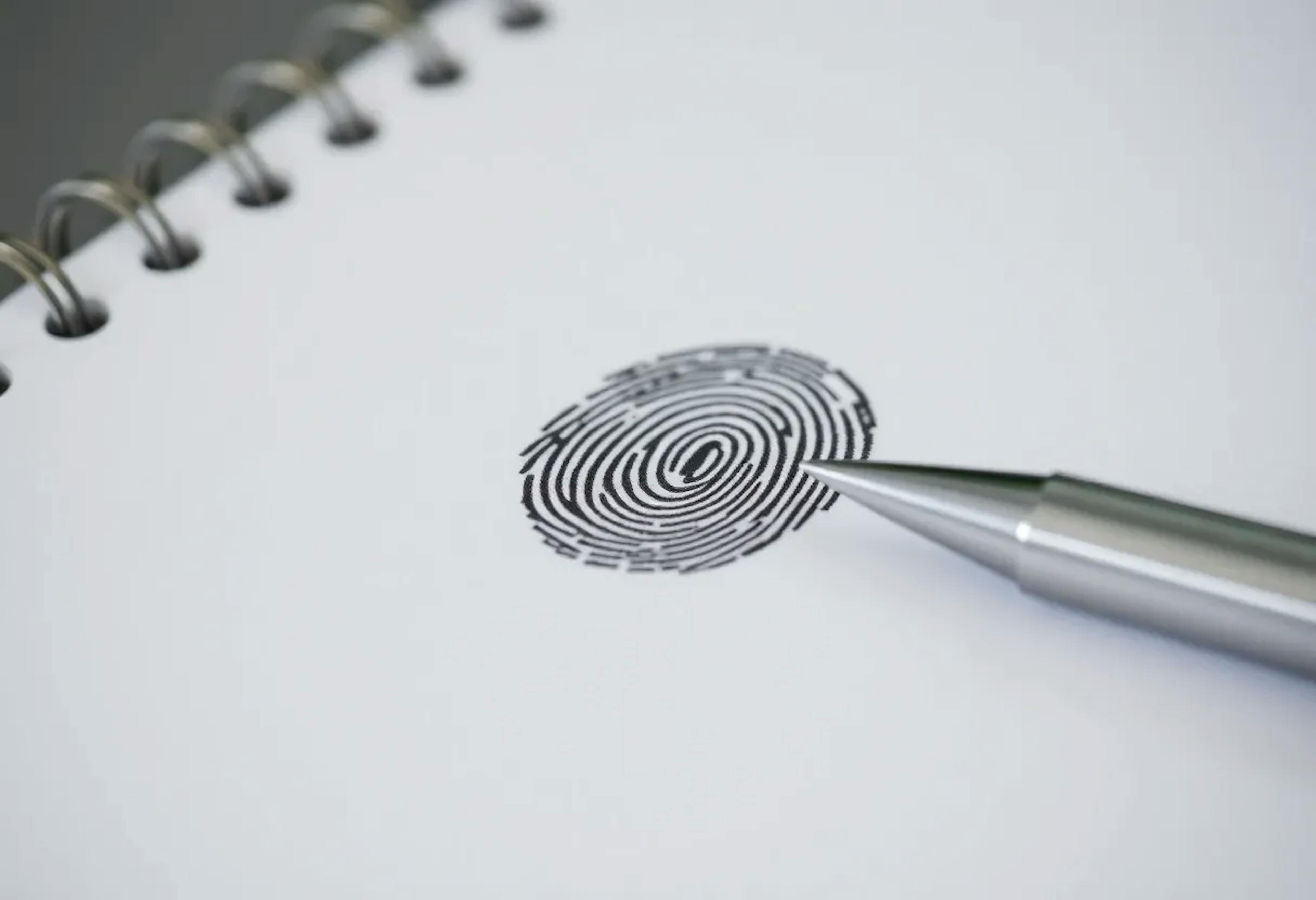 featured image - Your Writing Has a Fingerprint—And This Cutting Edge AI Model Can Identify It