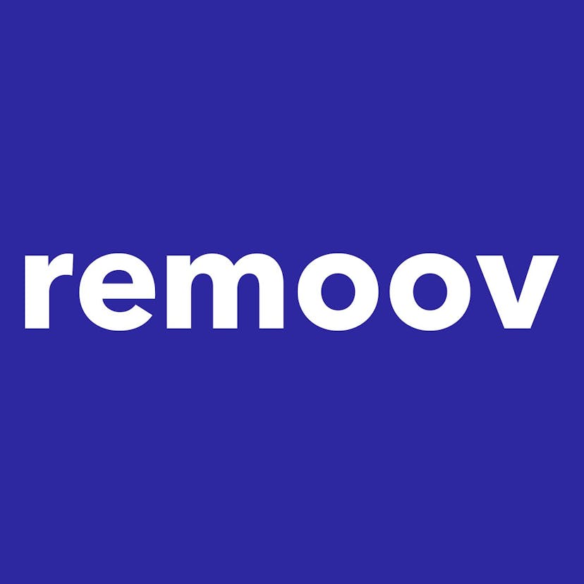/learn-how-to-ride-the-highs-and-lows-says-luis-perez-remoov-ceo feature image