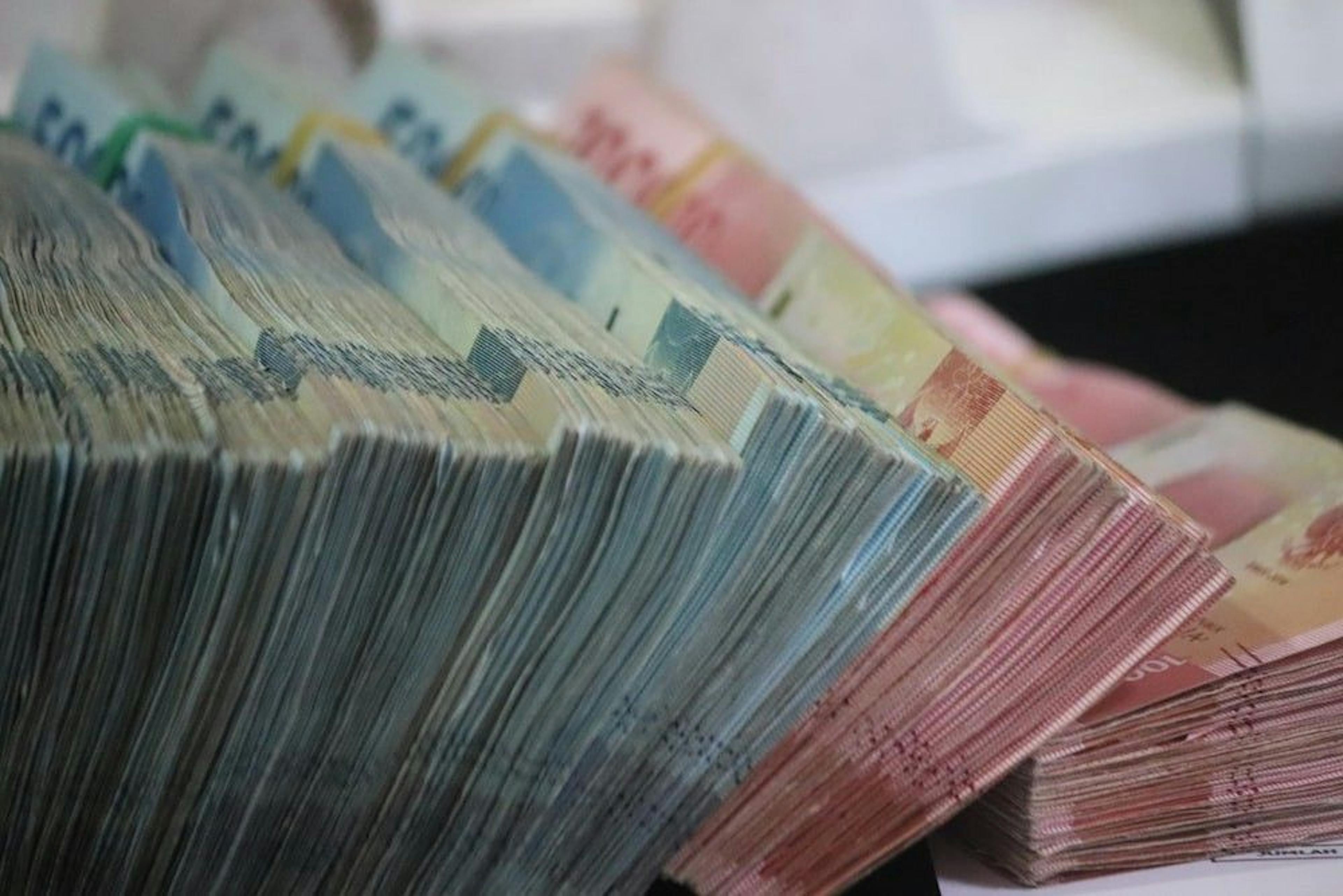 Counting The Cost of Software Bugs