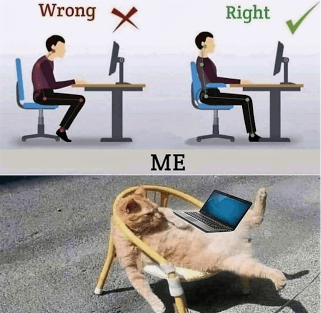 /ergonomic-chairs-hello-productivity-bye-bye-back-aches feature image