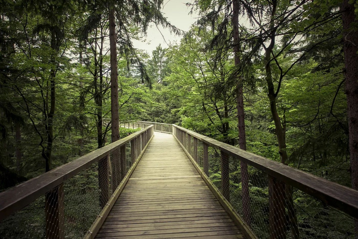 Python: Comprehending A* Path Algorithms and Implementation | HackerNoon