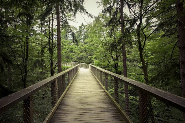 /python-comprehending-a-path-algorithms-and-implementation feature image