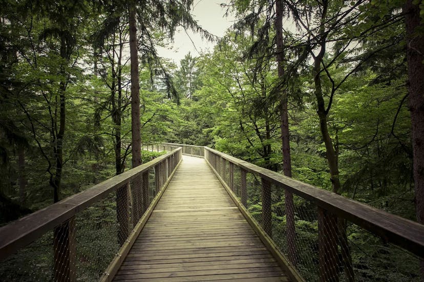 /python-comprehending-a-path-algorithms-and-implementation feature image
