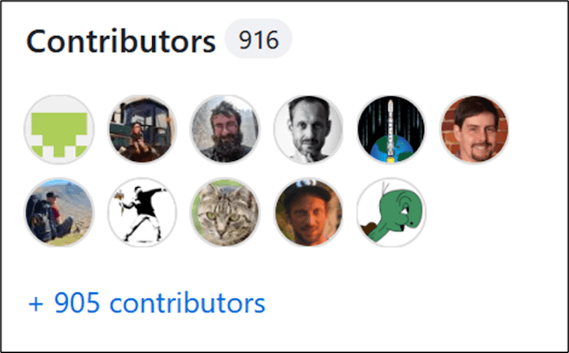 There have been 916 contributors to Bitcoin's code so far