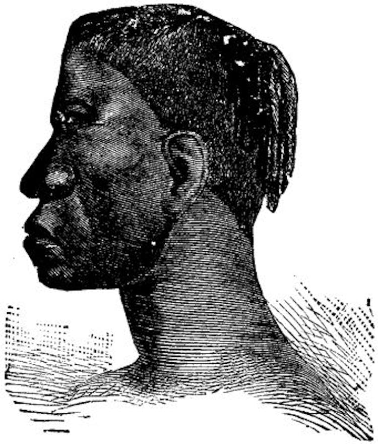 FIG. 6.--Profile of a Luchatze negro woman,showing deficient bridge of nose and chin, and elongate facial region
and prognathism.