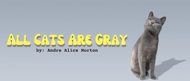 /all-cats-are-gray feature image