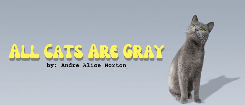 /all-cats-are-gray feature image