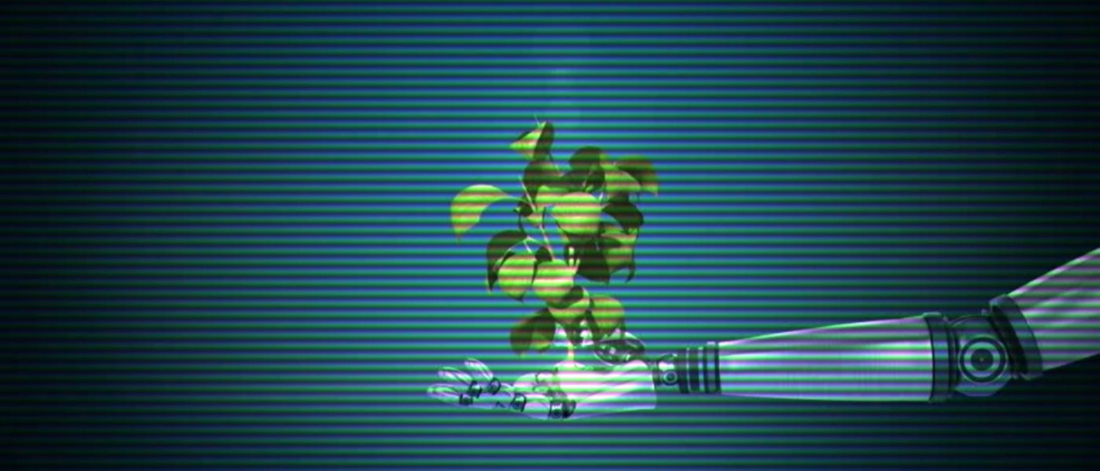 featured image - How Does a Blockchain VC Fund Choose What to Invest in?