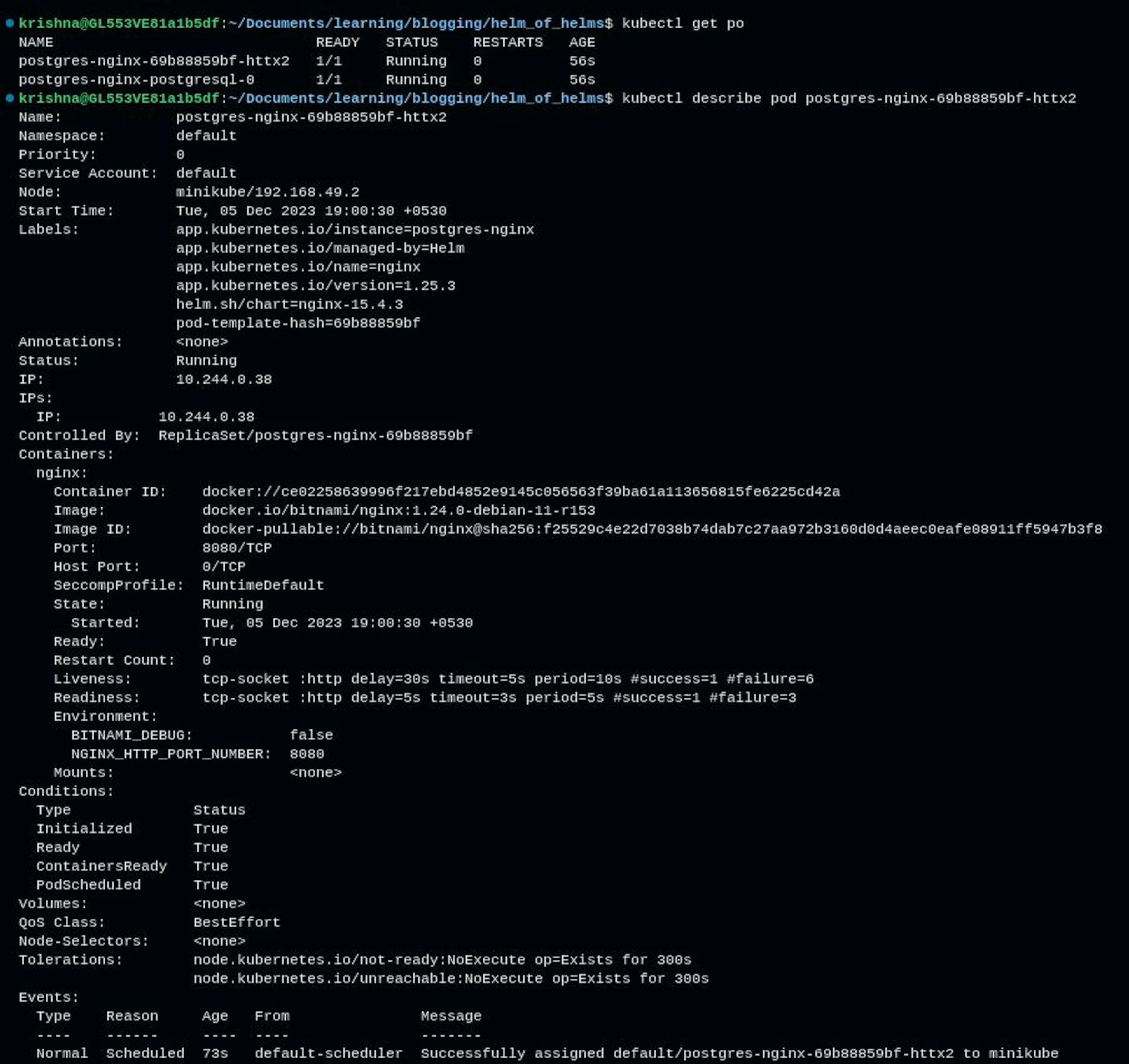 Nginx pod running on 1.24.0-devbian-11-r153