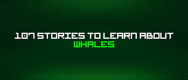 /107-stories-to-learn-about-whales feature image