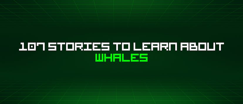 /107-stories-to-learn-about-whales feature image