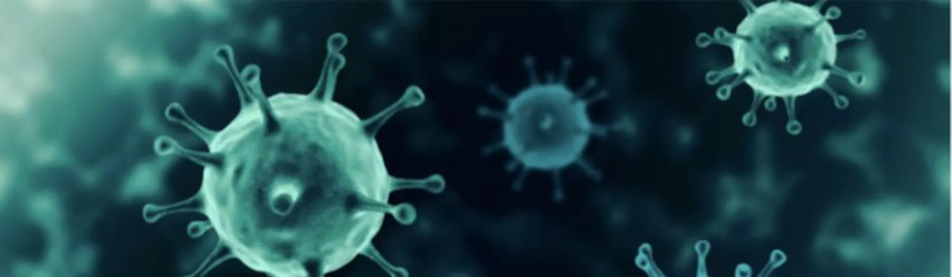 Learn Repo's image-c26ee8