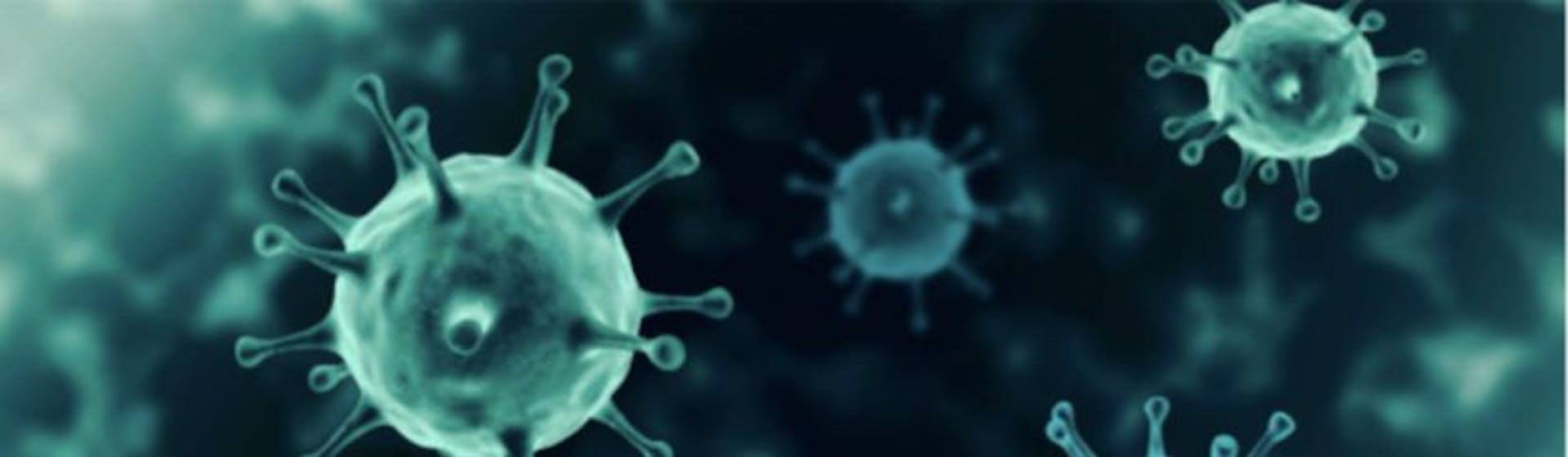 featured image - Introducing Immunify.life.