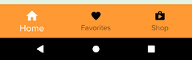 Custom Bottom Nav Bar