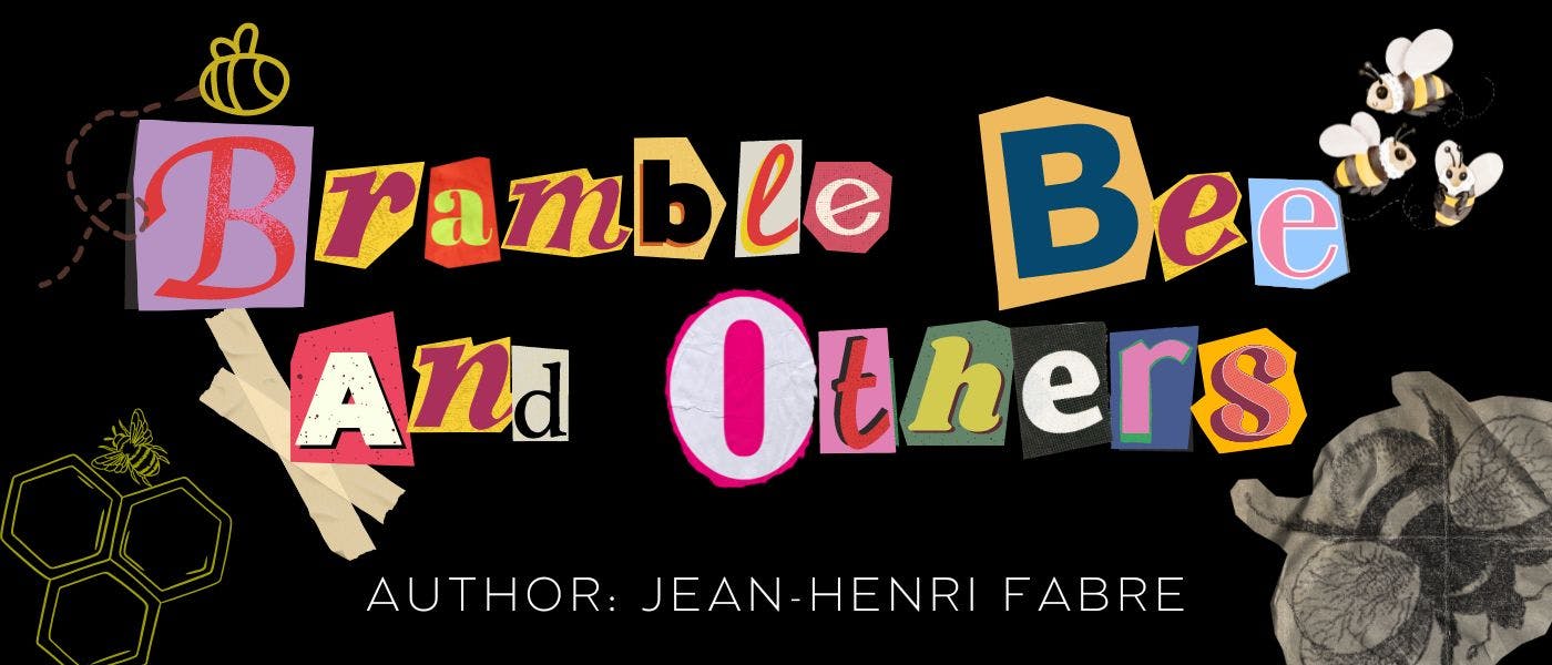 /the-poison-of-the-bee feature image