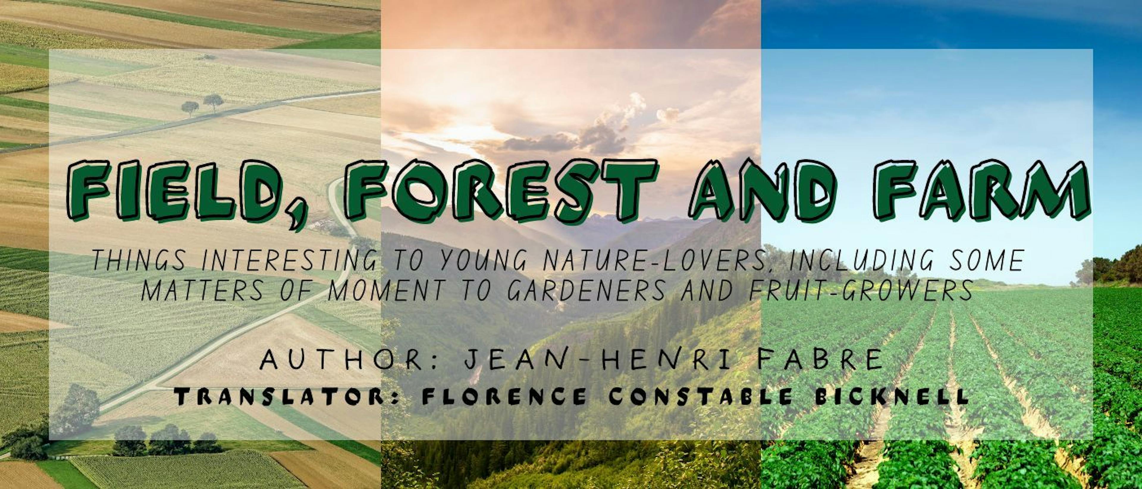 /different-kinds-of-soil-continued feature image