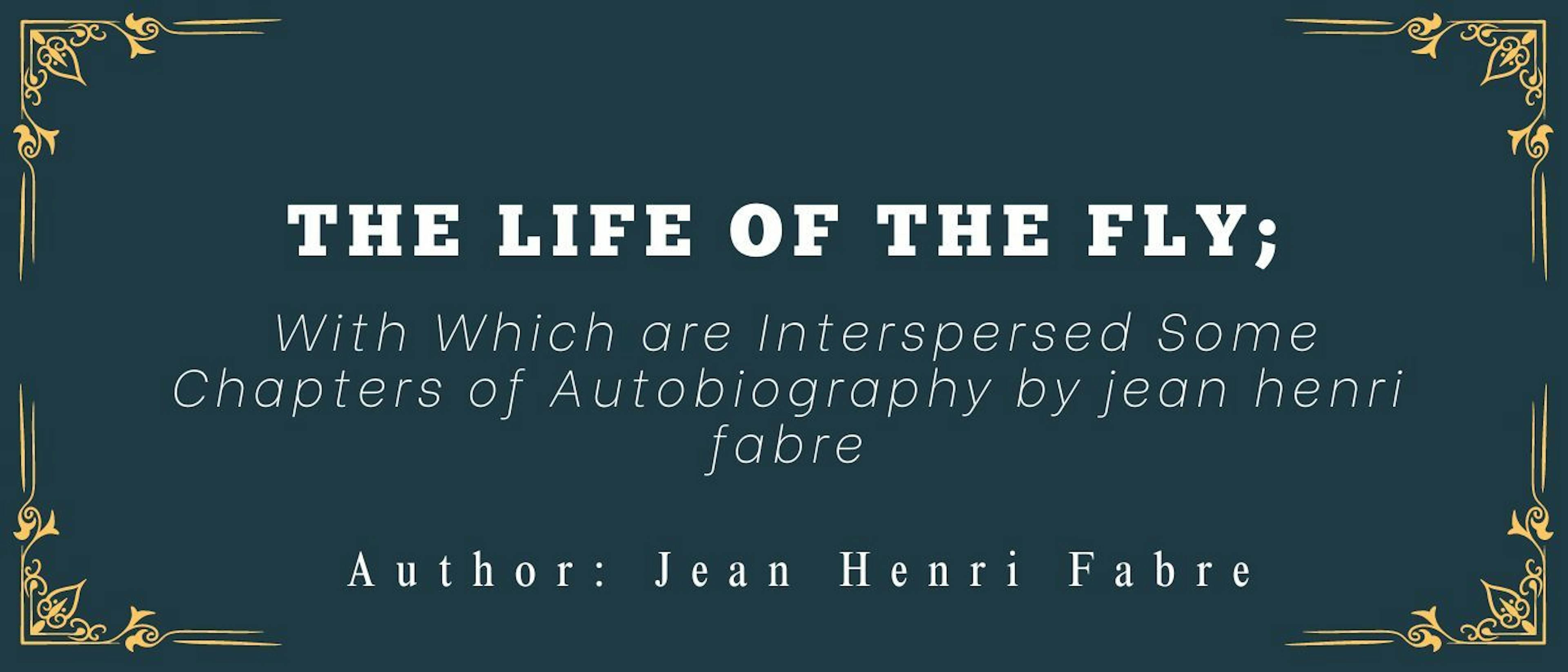 /beetles-make-an-exception-to-the-rule-of-paternal-indifference feature image