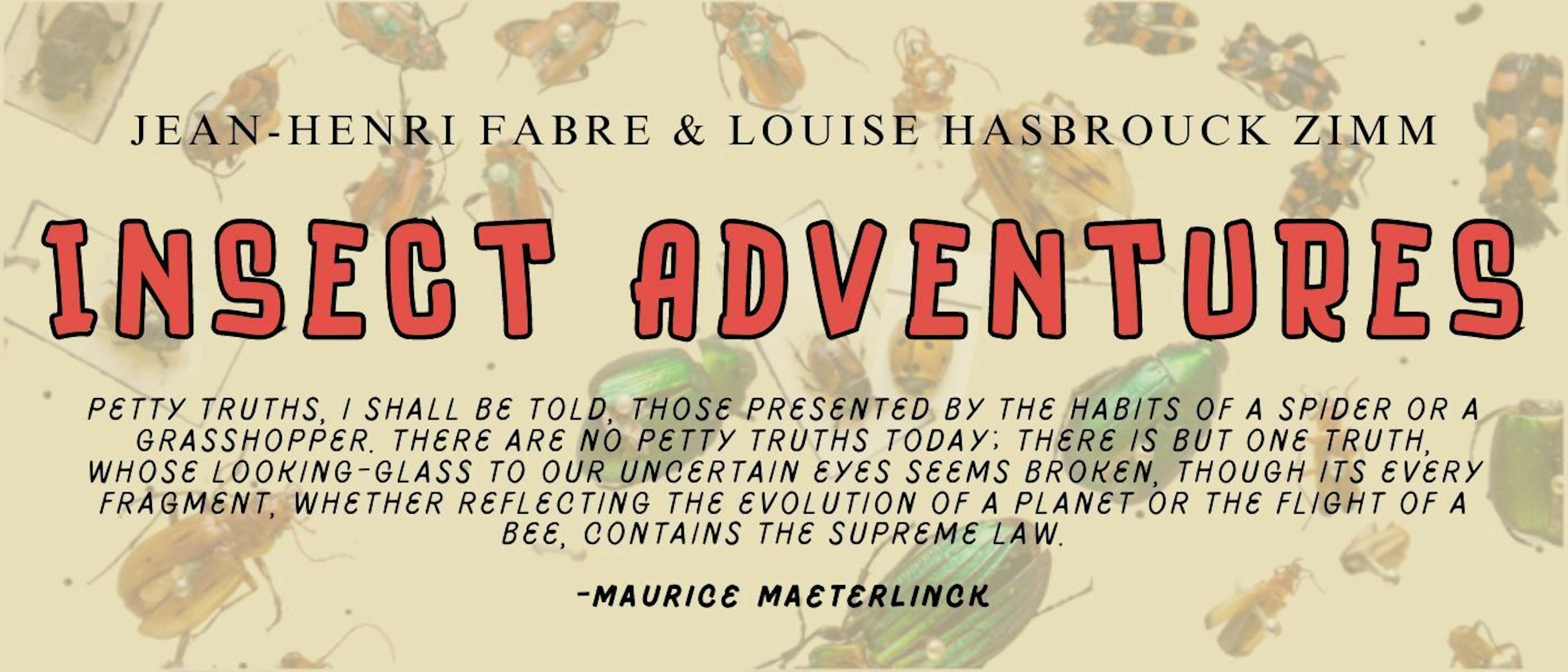 /i-am-interested-in-the-labyrinth-spider feature image