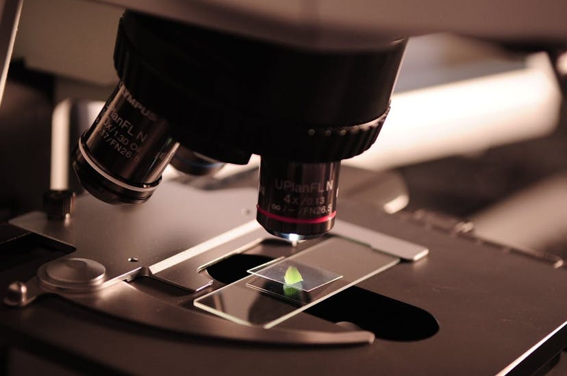 /ethical-considerations-when-approaching-scientific-content feature image
