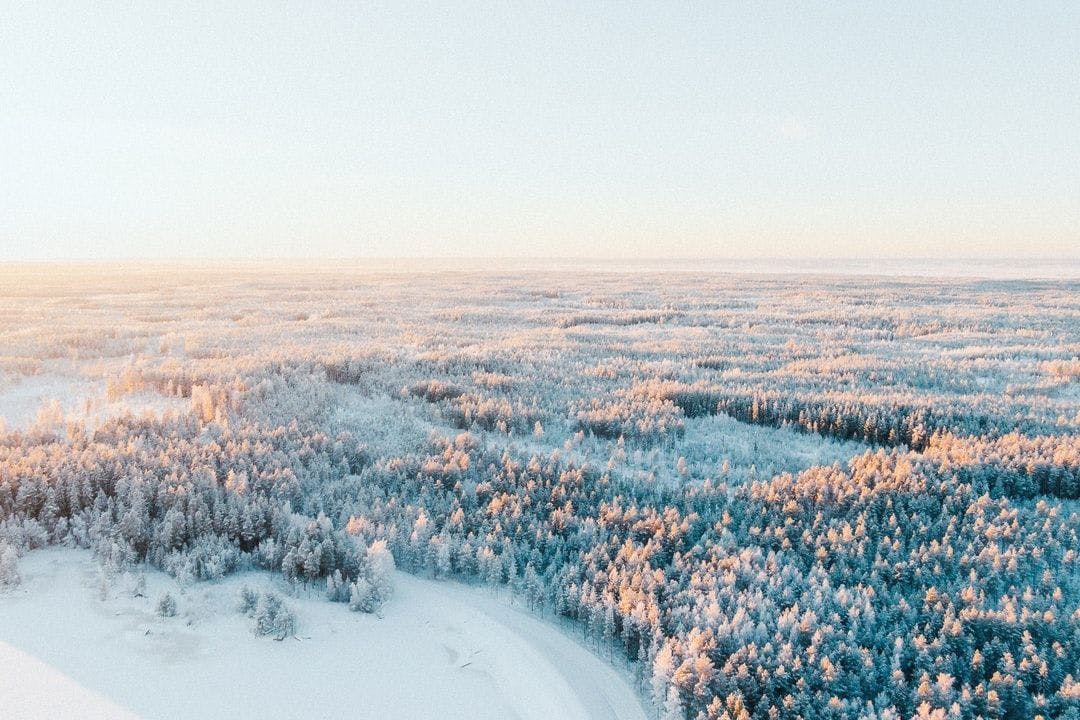 featured image - Why is Finland the Happiest Country in the World?