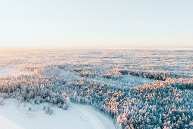 /why-is-finland-the-happiest-country-in-the-world feature image