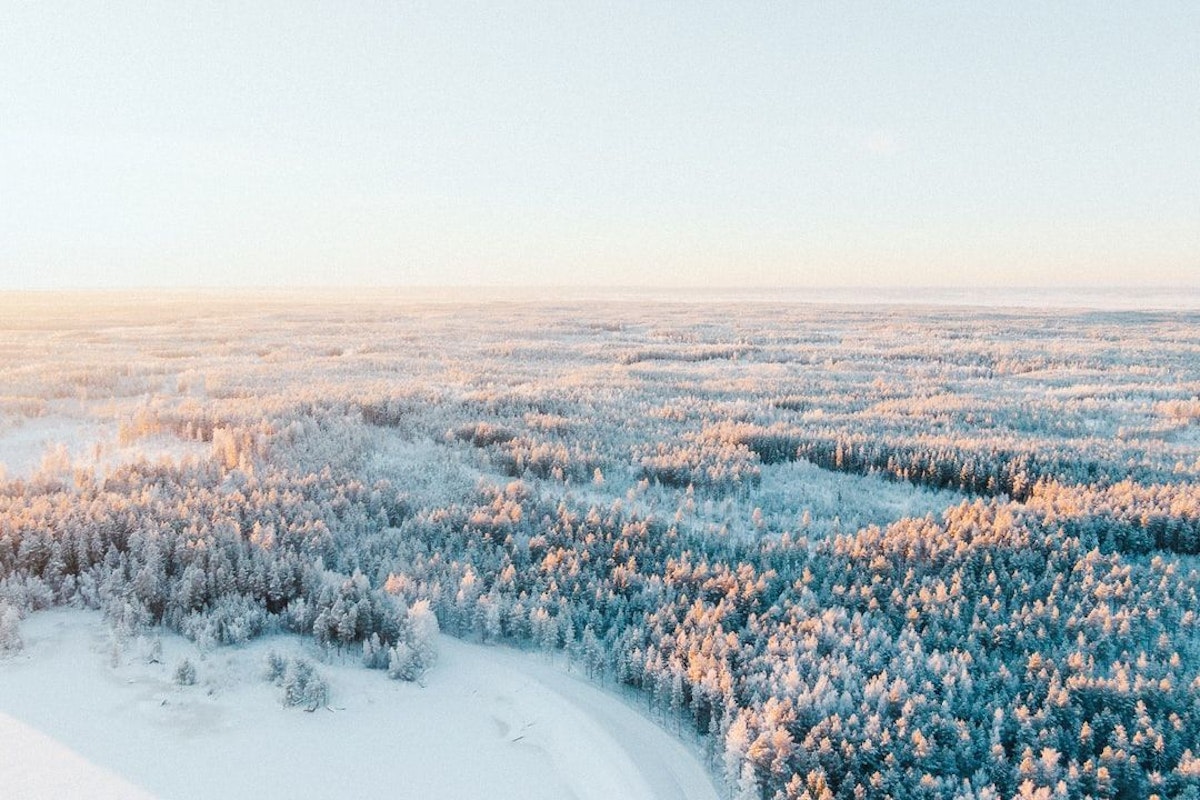 featured image - 为什么芬兰是世界上最幸福的国家？