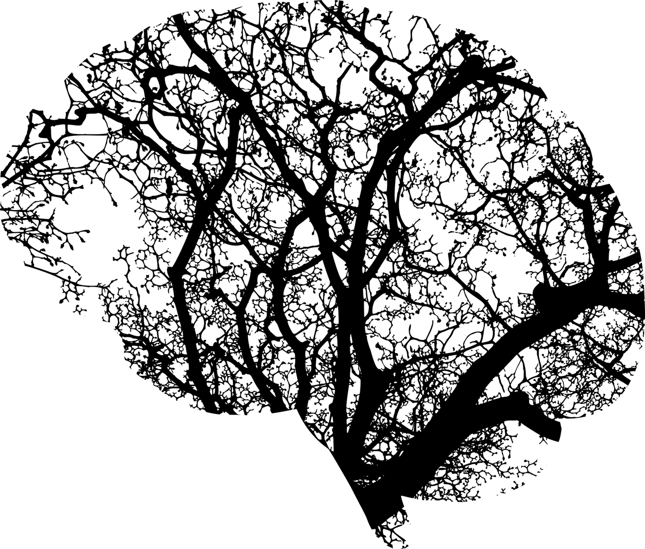 featured image - How Neuroscience Deconstructs Our Internal Monologue: Confabulation and Cognitive Biases