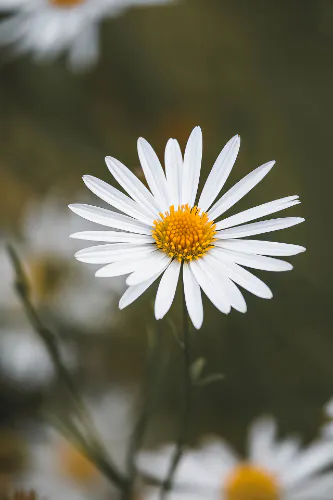 Rumy HackerNoon profile picture