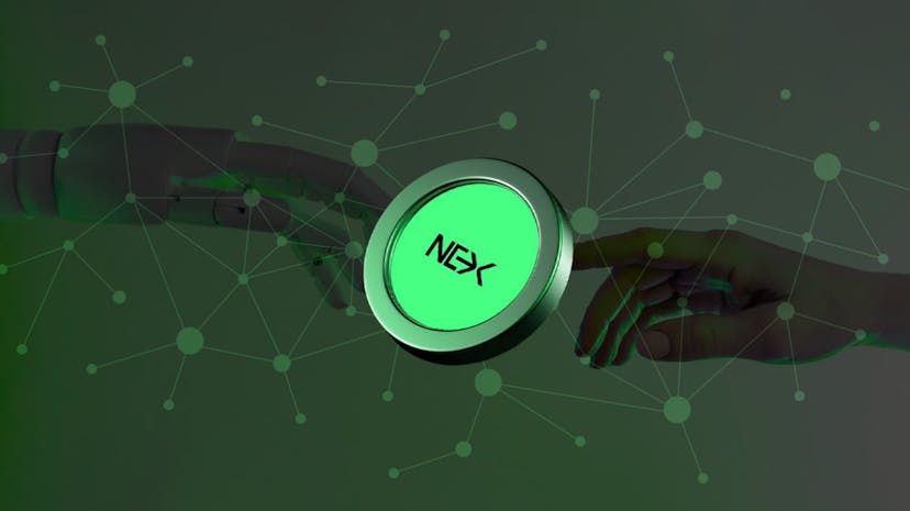/nexchain-crypto-presale-is-now-at-stage-13 feature image