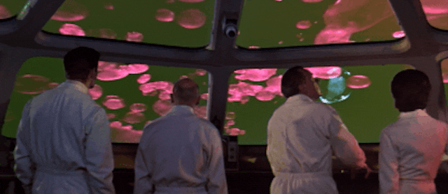 /isaac-asimovs-fantastic-voyage-in-real-life-iobnt-for-targeted-drug-delivery feature image