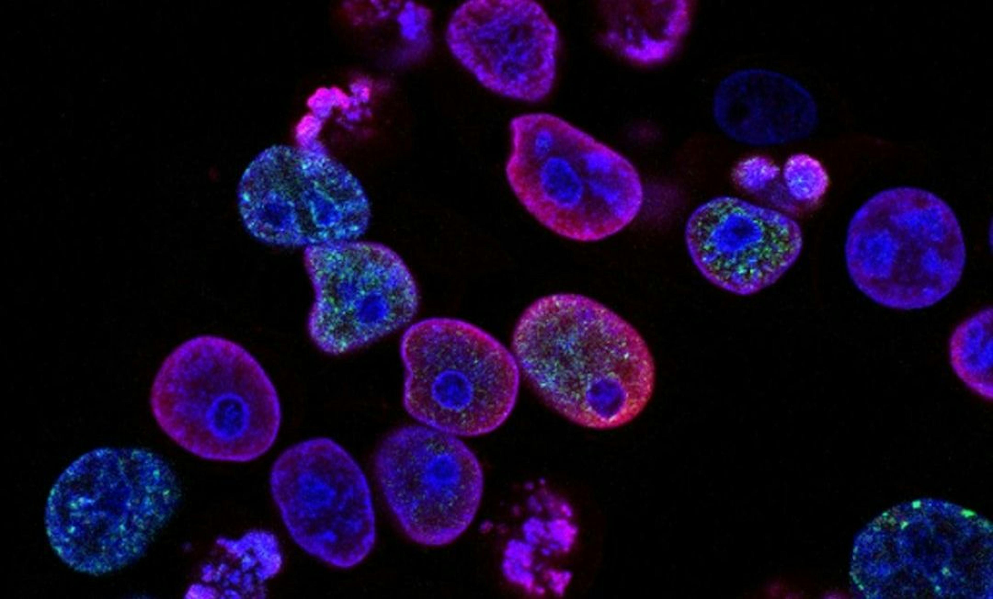 featured image - Enabling Scientific Research and Analyses Through Automated ML