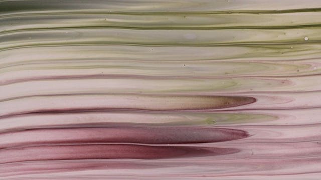 /rug-pull-how-to-spot-the-fraud-easily-via-smart-contract-codes feature image
